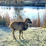 Potosi Teichhof Fehmarn Apartman