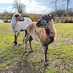 Potosi Teichhof Fehmarn * Wenkendorf