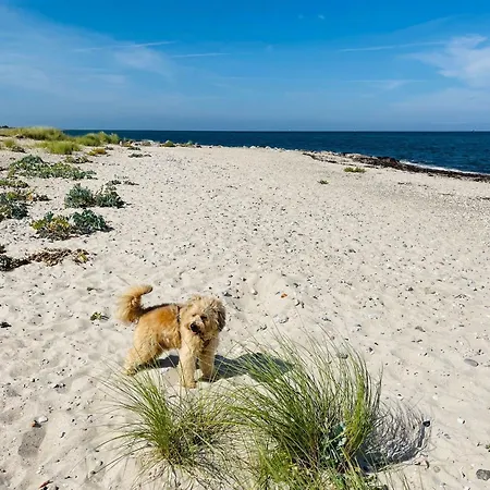 Potosi Teichhof Fehmarn * Wenkendorf
