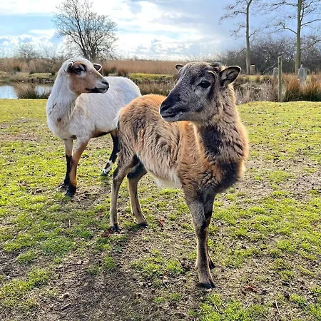 Potosi Teichhof Fehmarn * Wenkendorf