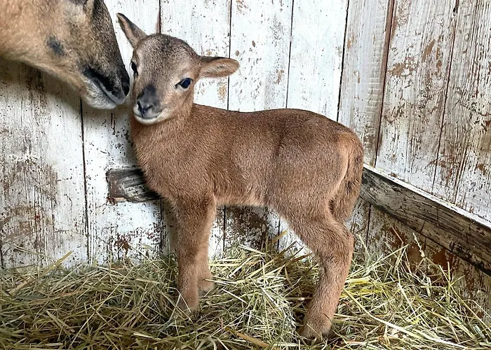 Potosi Teichhof Fehmarn