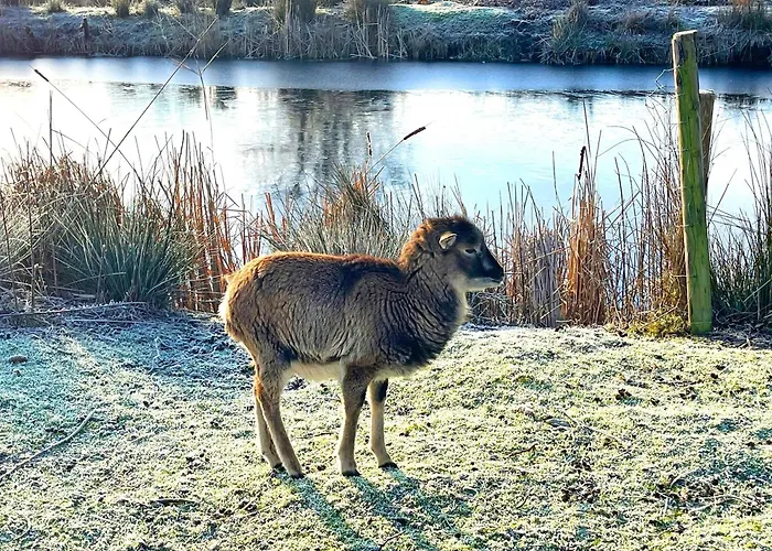 Potosi Teichhof Fehmarn Appartement