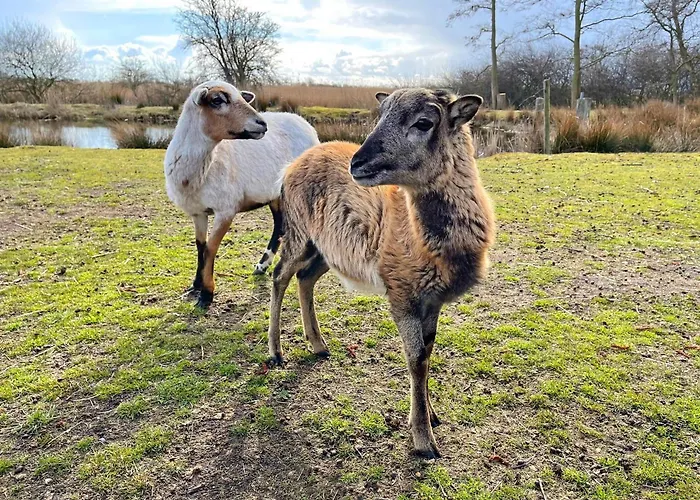 Potosi Teichhof Fehmarn * Wenkendorf